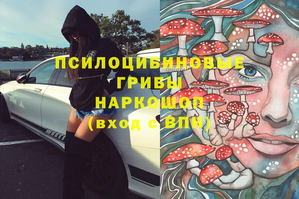 ешки Арсеньев