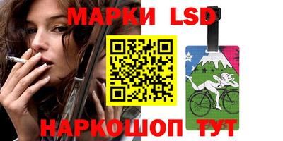 Альфа ПВП Краснознаменск