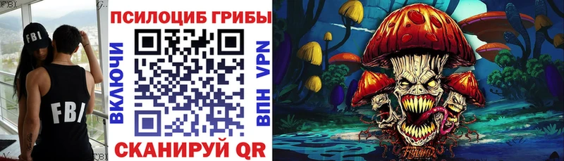 Псилоцибиновые грибы MAGIC MUSHROOMS  купить наркоту  Красноярск 