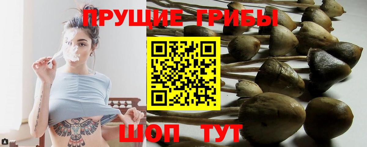 Красноярск  Галлюциногенные грибы Magic Shrooms  Галлюциногенные грибы Psilocybe  Вход с VPN 